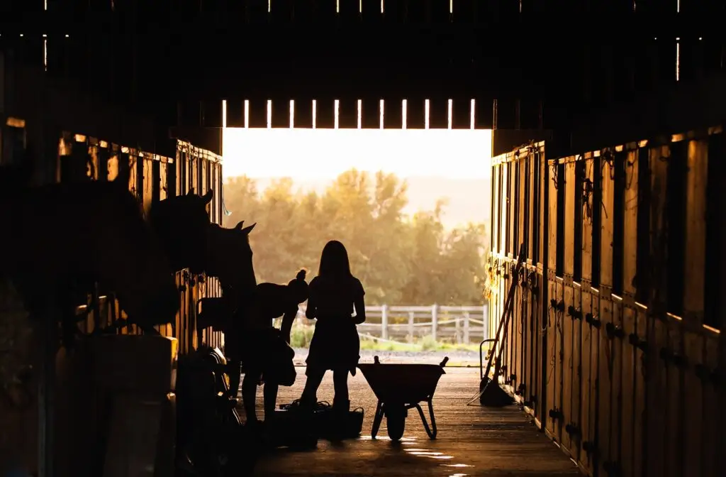 Every Family and Farm Have a Story