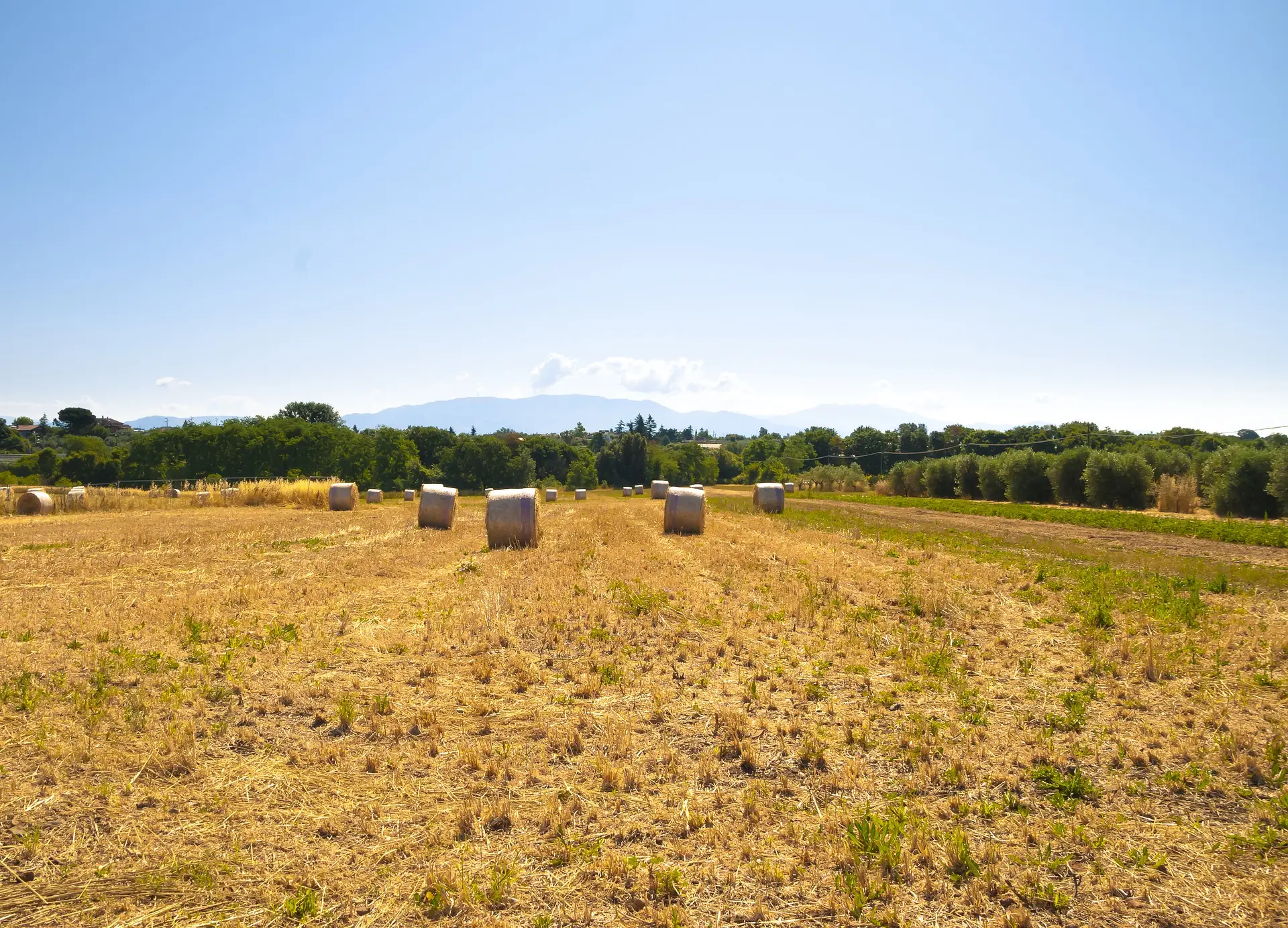 Farm Asset Division: A 21st-Century Conundrum