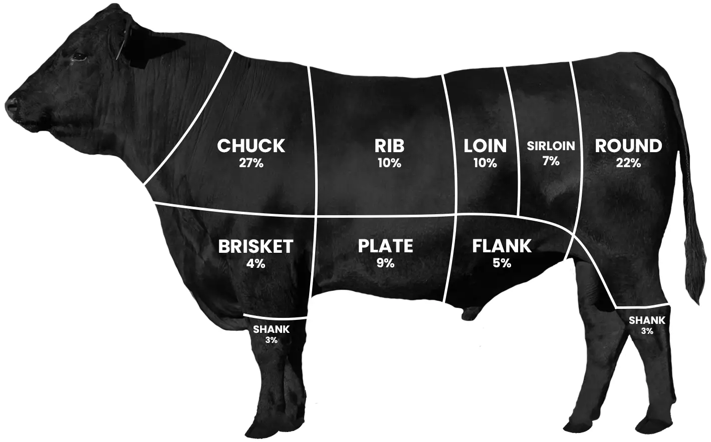 Beef Cutting Diagram