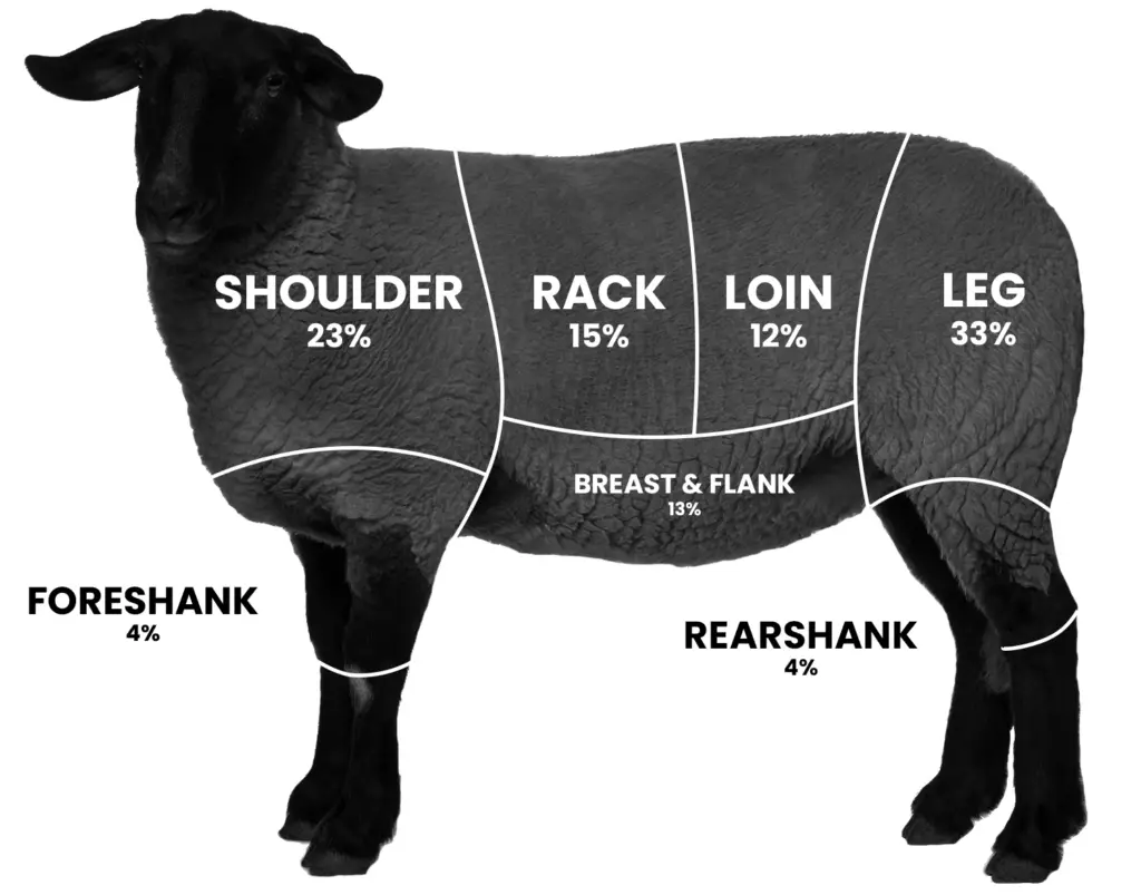 lamb-graphic-final | PA Farm Link