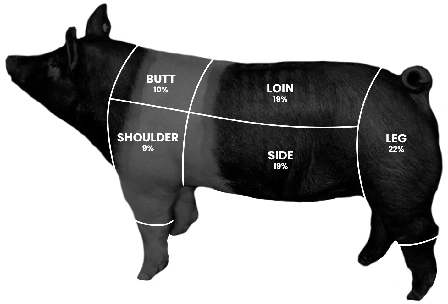 Pork Cutting Diagram