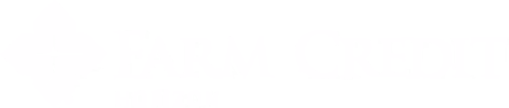 Decorative image with no visible content (blank white image).