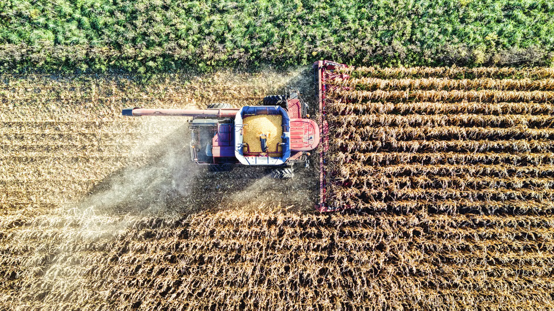 Where Do Anger and Peace Fit into an Ag Legacy?