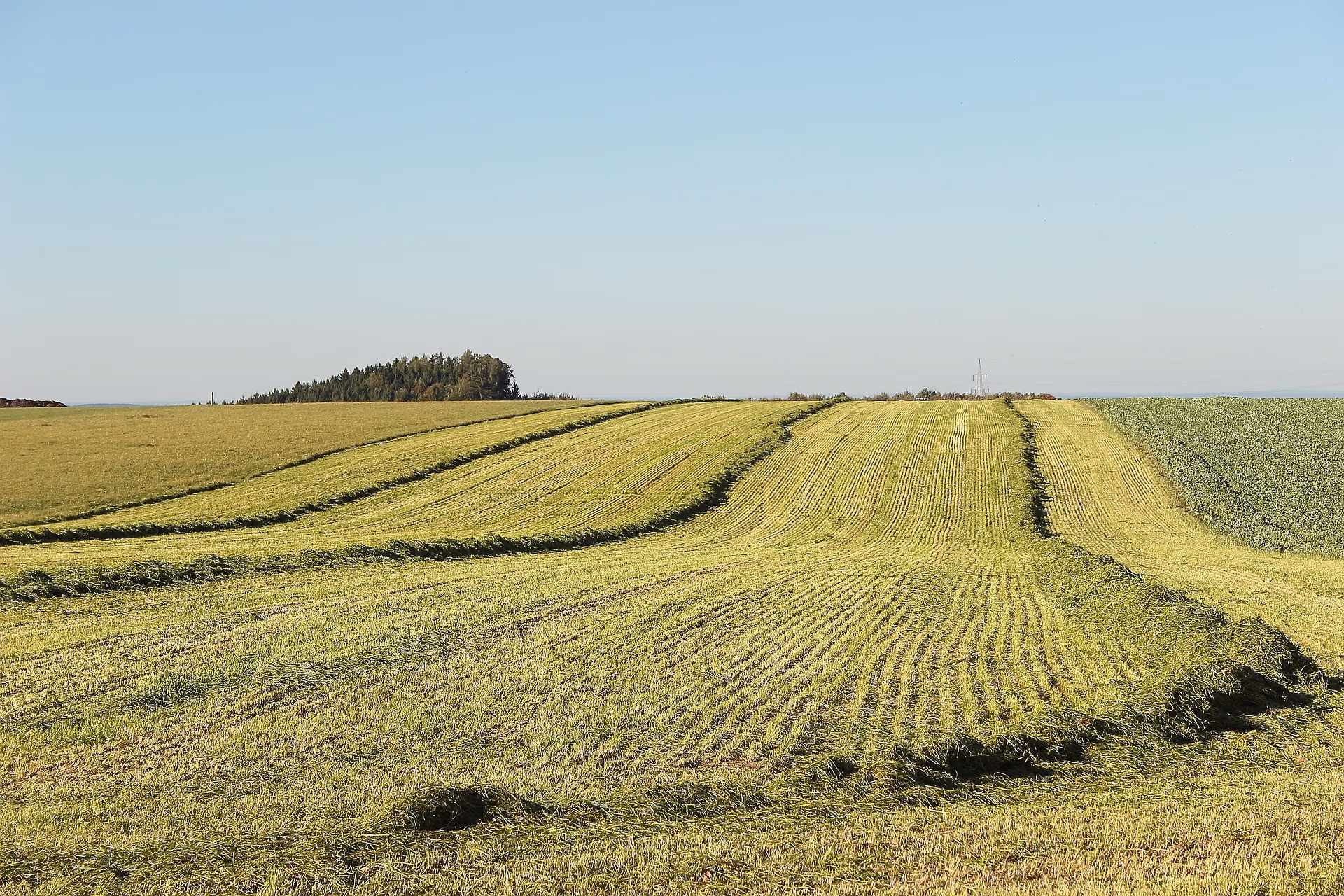 Building the Bridge of Trust in Farm Succession
