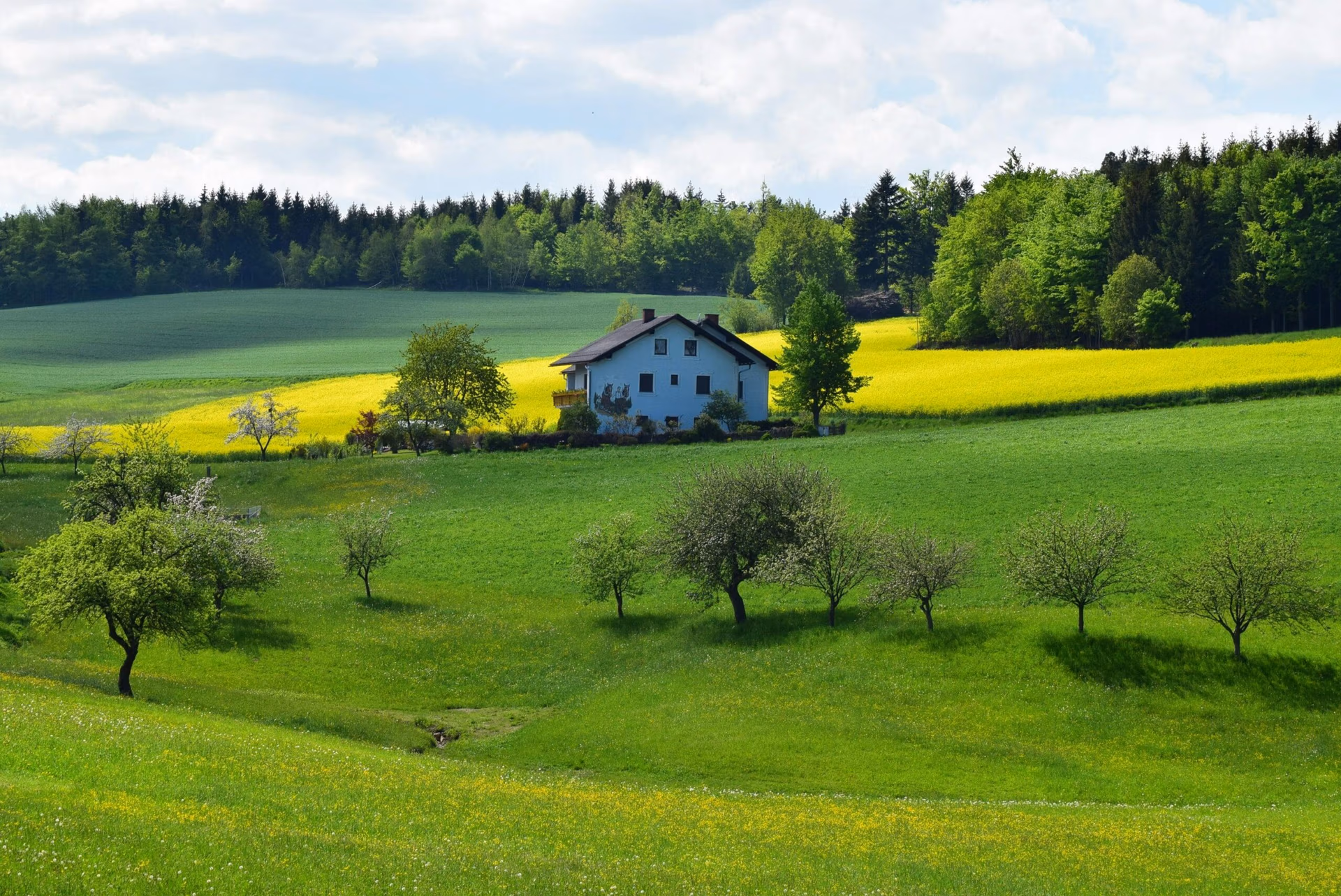 Getting Ready to Meet with Farm Succession and Estate Planning Professionals