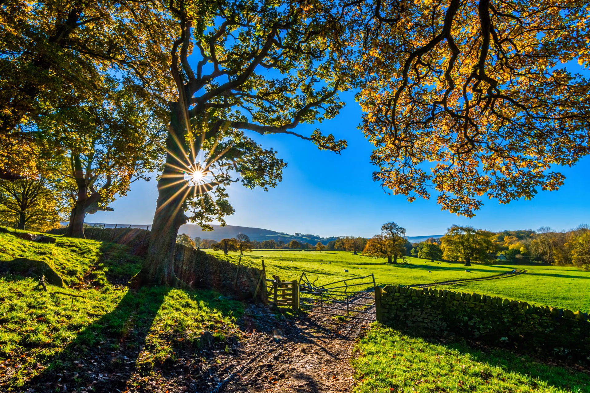 Values, Vision, and Intentions for Farm Succession