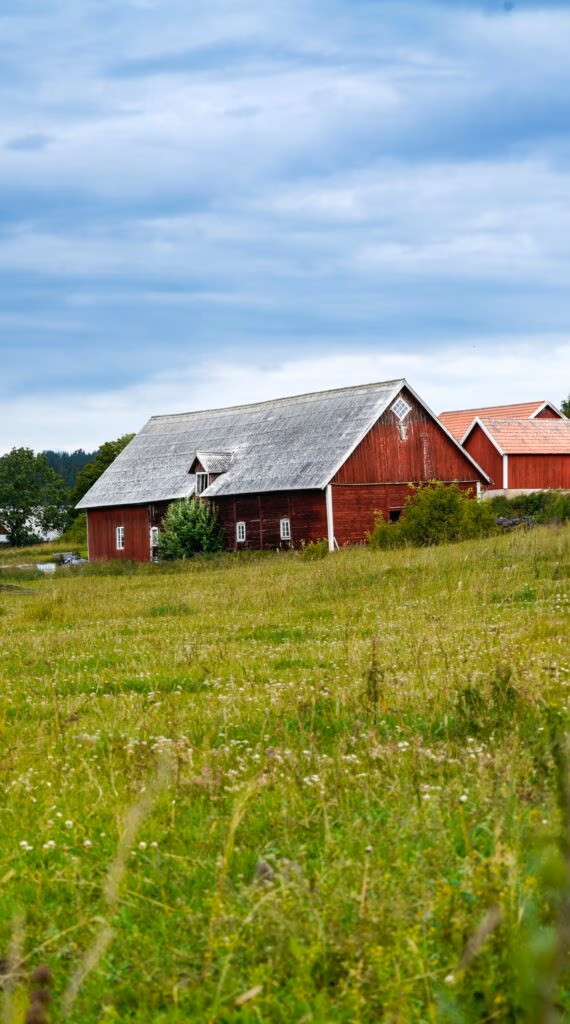 Red barns sit in a grassy field beneath a cloudy blue sky, with a wooden roof and surrounding greenery.