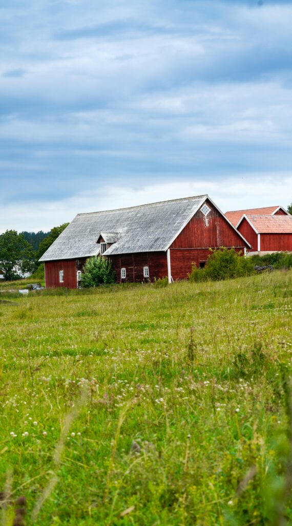 Red barns sit in a grassy field beneath a cloudy blue sky, with a wooden roof and surrounding greenery.