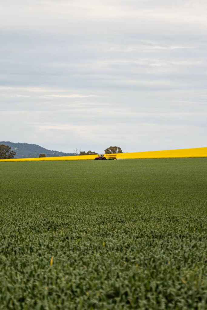 Wide farm field with green crops in foreground, a yellow canola strip on the horizon, and a small tractor near the center under a cloudy sky